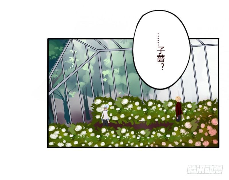 花儿与少年（3）4