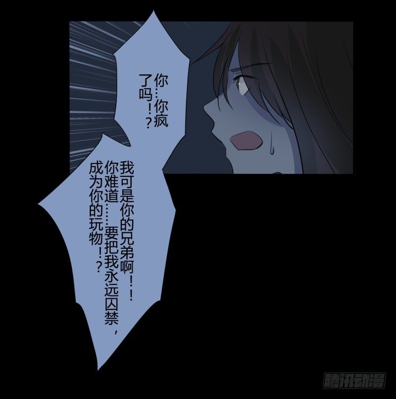 并蒂莲（3）28