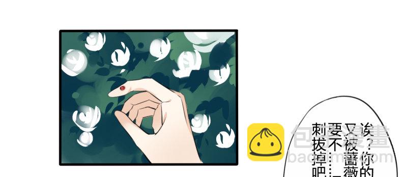 花儿与少年（1）17