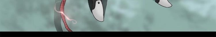 16-拼单！48