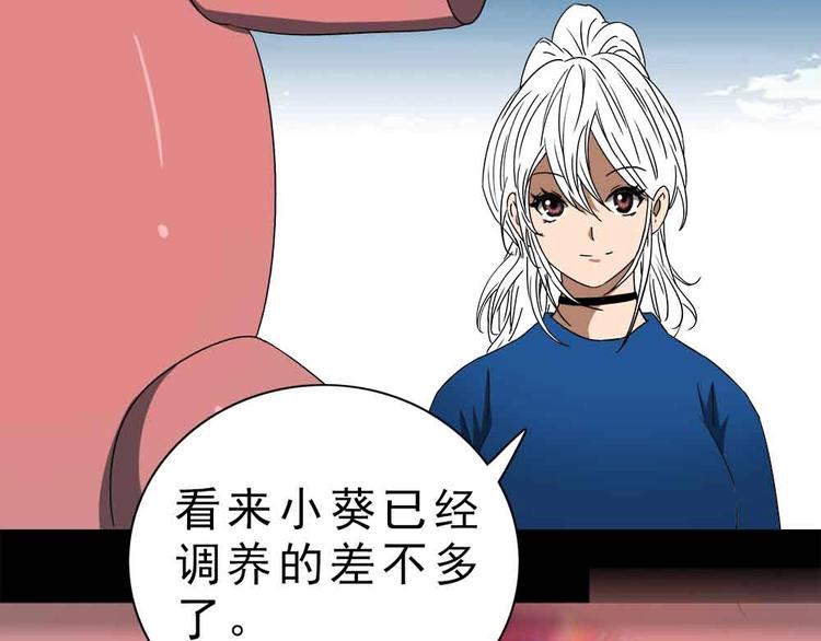 15-复仇！11