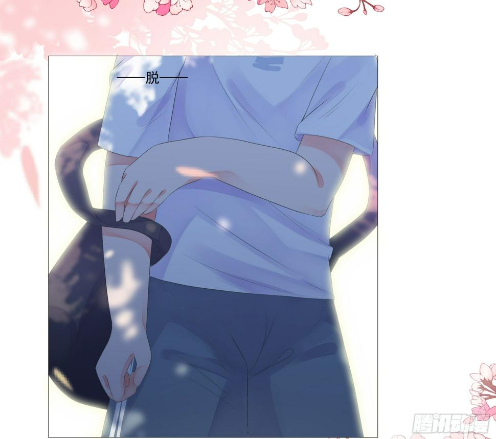 大展身手13