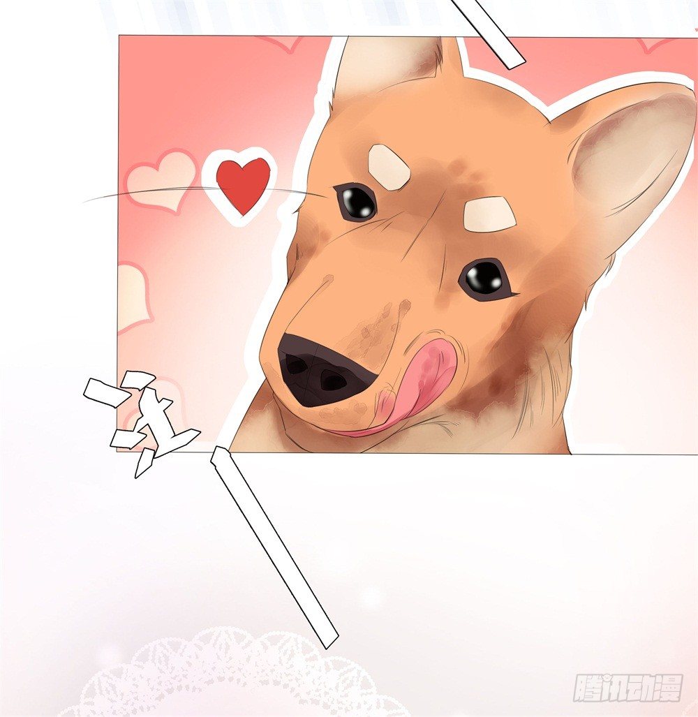 狭路相逢23