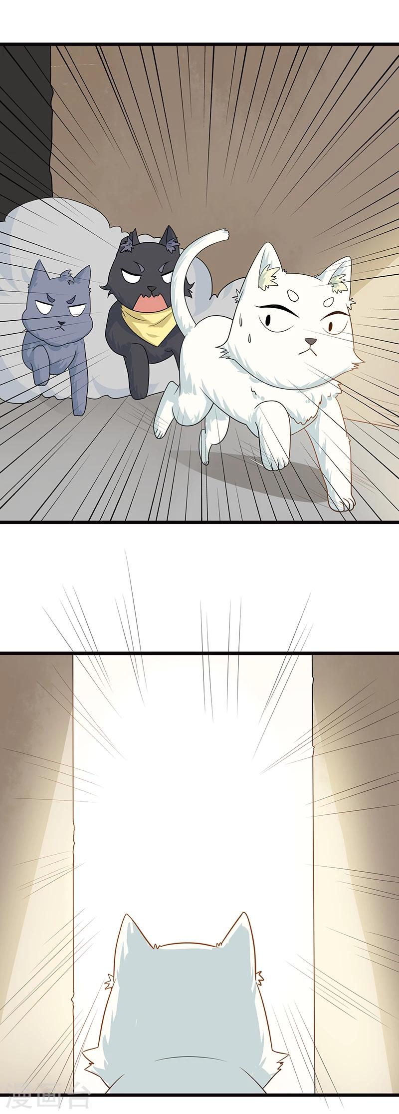 第5话 做一只猫好累7