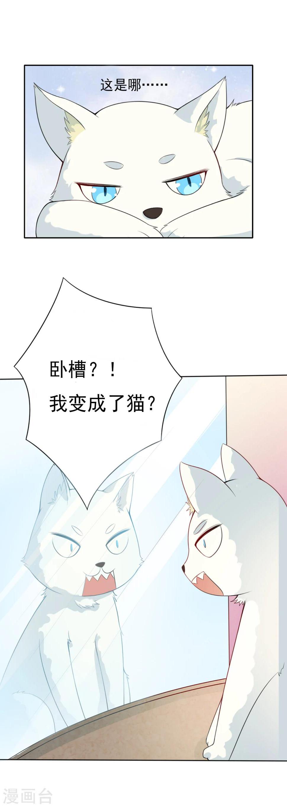 预告4