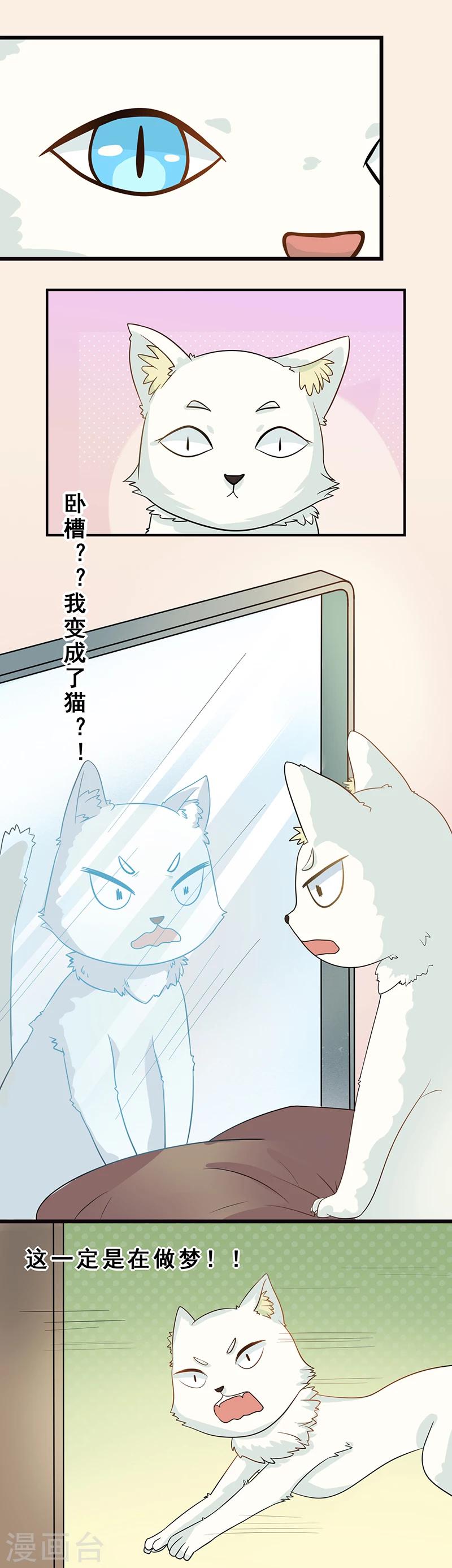 第3话 放开这只小猫咪2