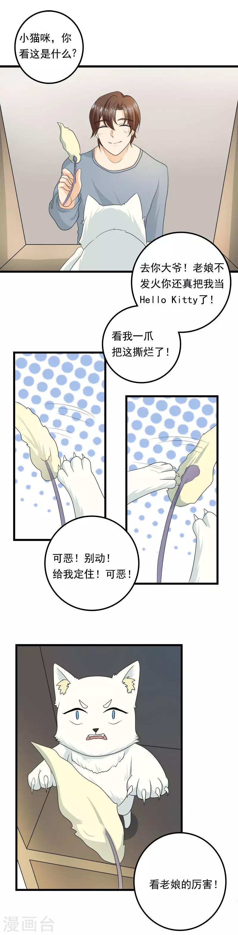 第8话 猫饼与铲屎官3