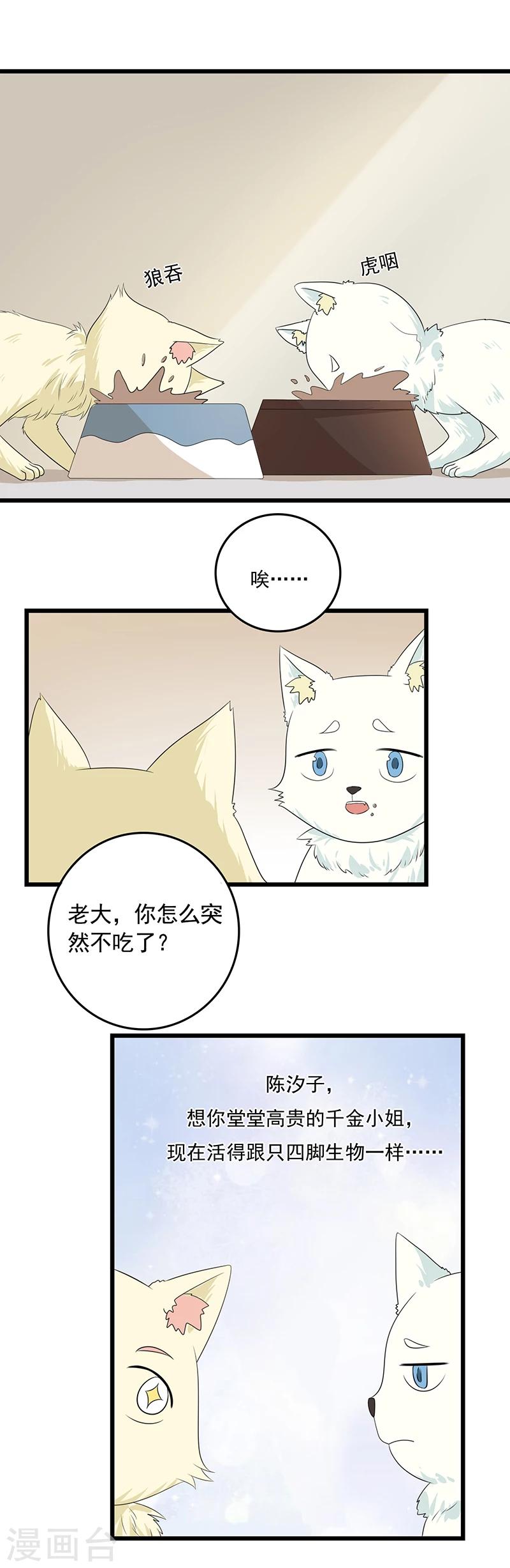 第11话 谁动了电脑？1