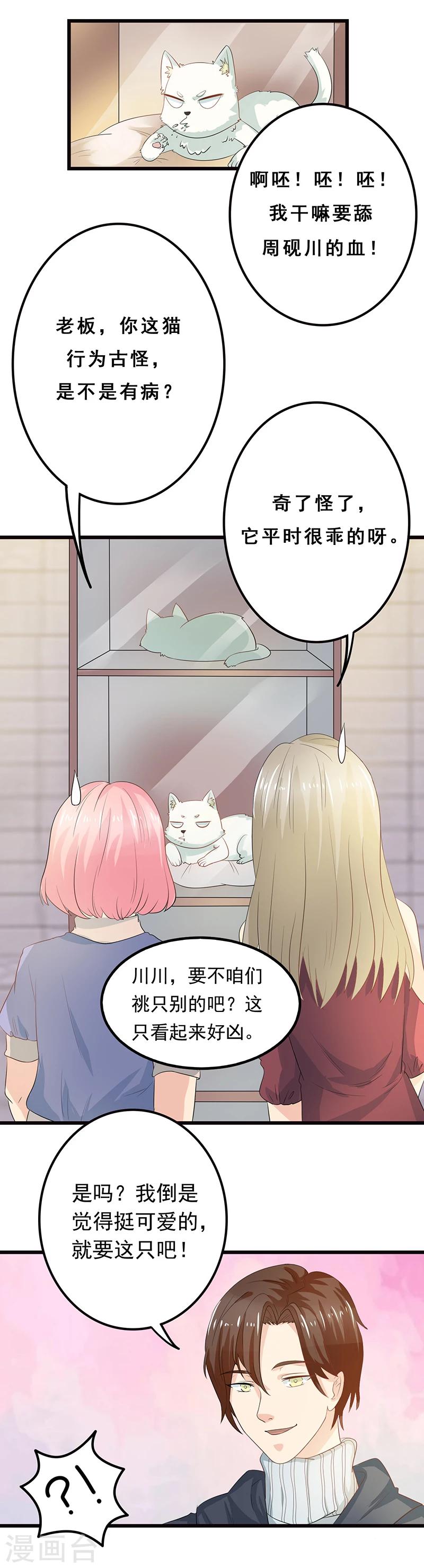 第3话 放开这只小猫咪6