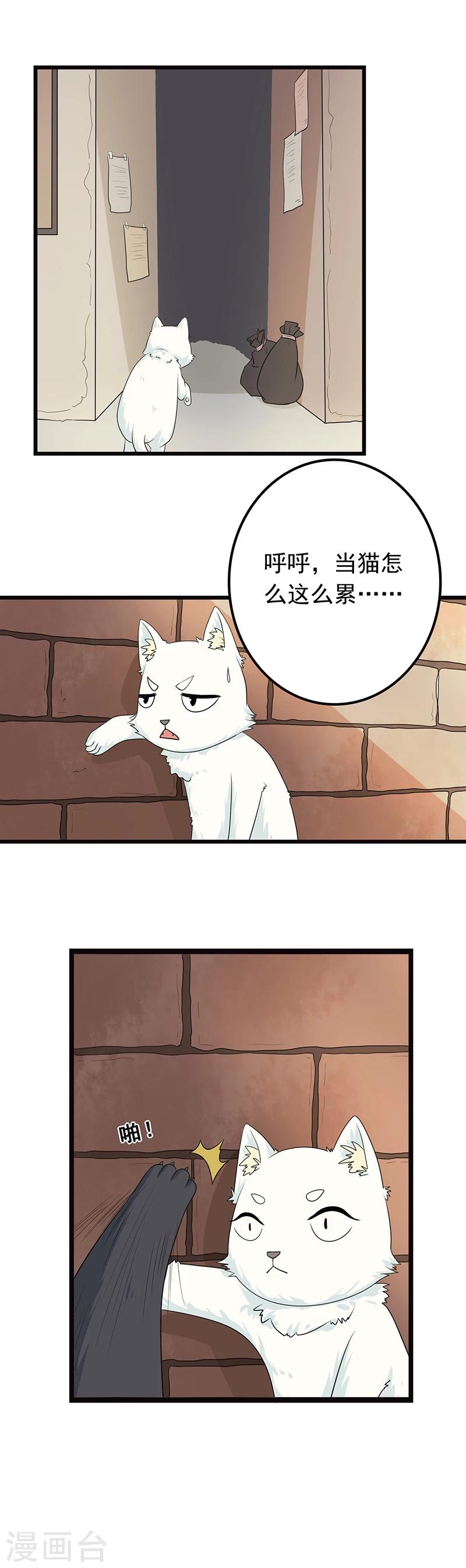 第5话 做一只猫好累4