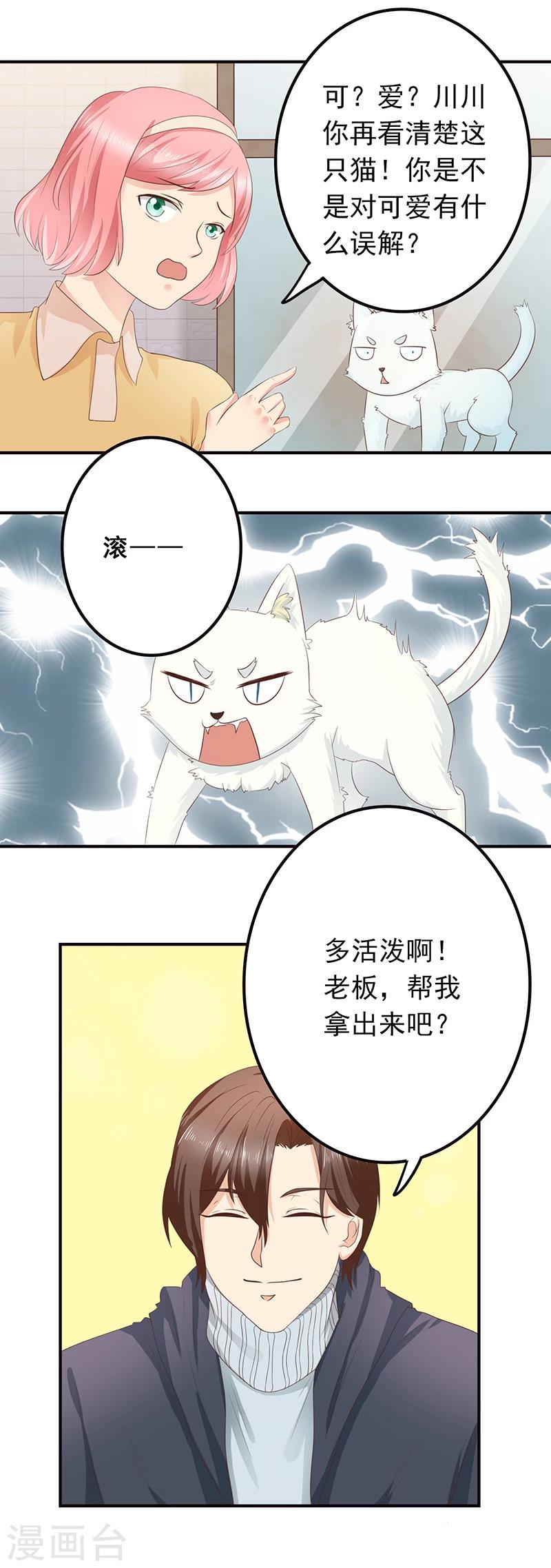第3话 放开这只小猫咪7