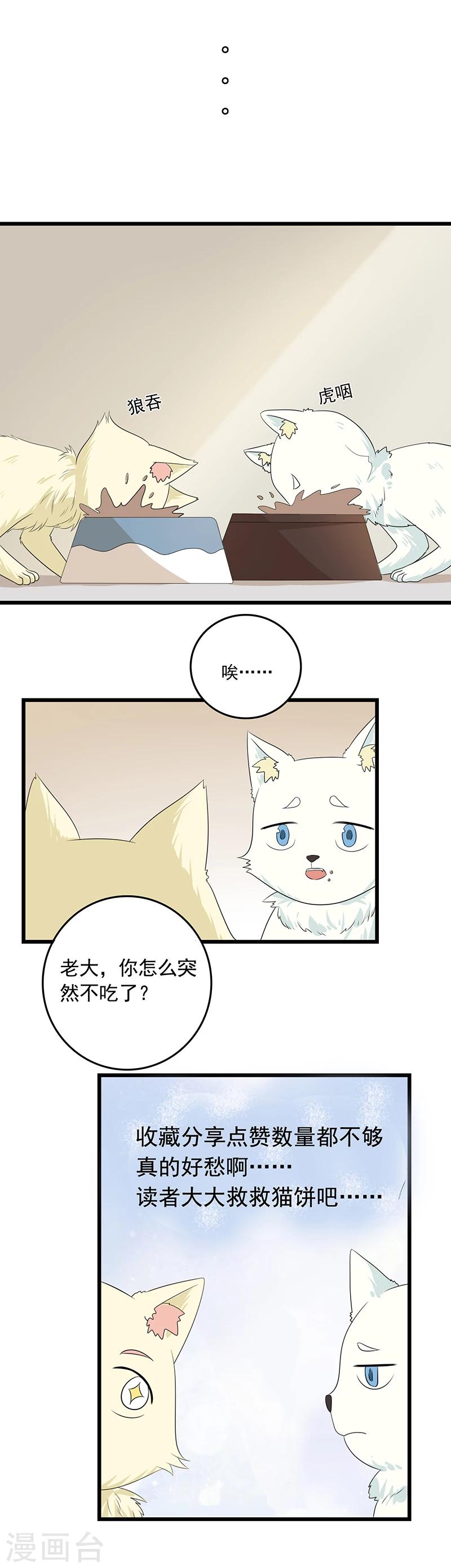 第11话 谁动了电脑？11
