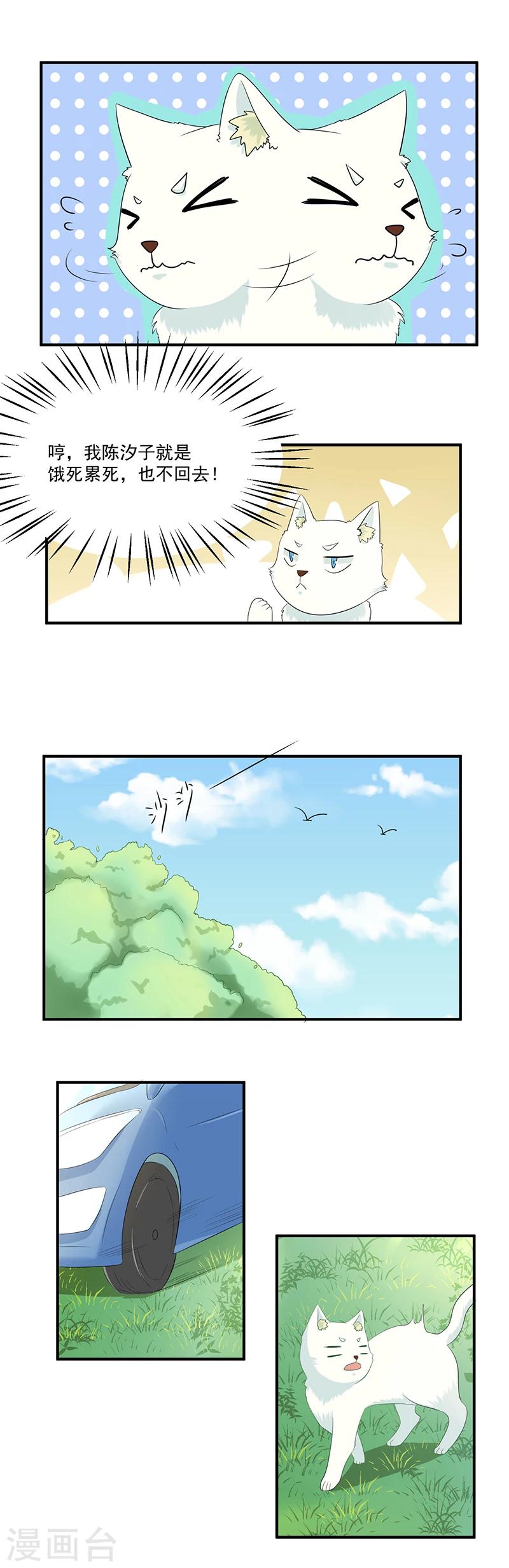 第14话 你相信谁？13