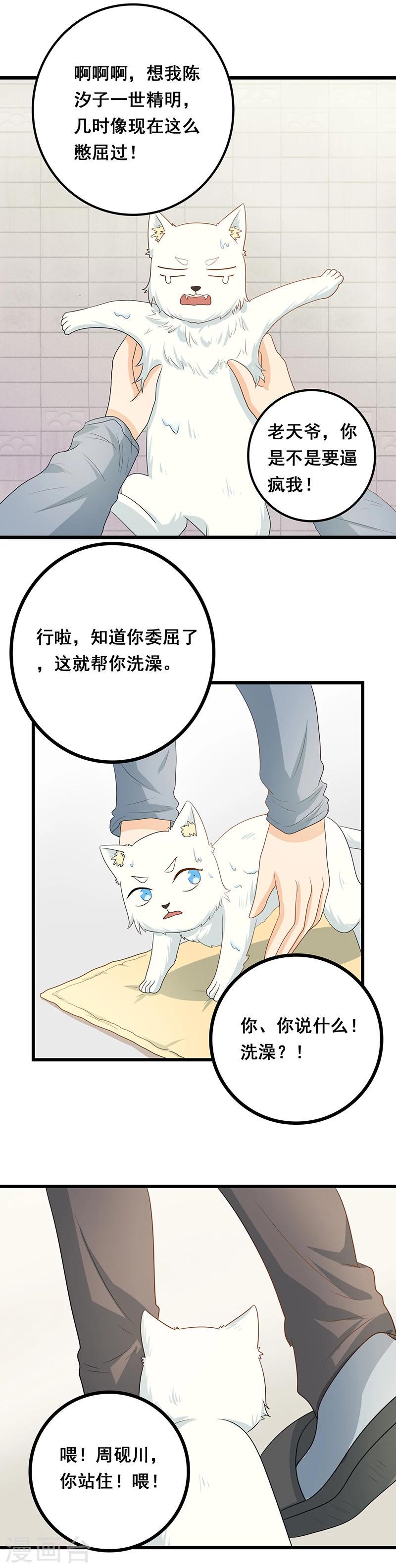 第7话 猫粮？真香12