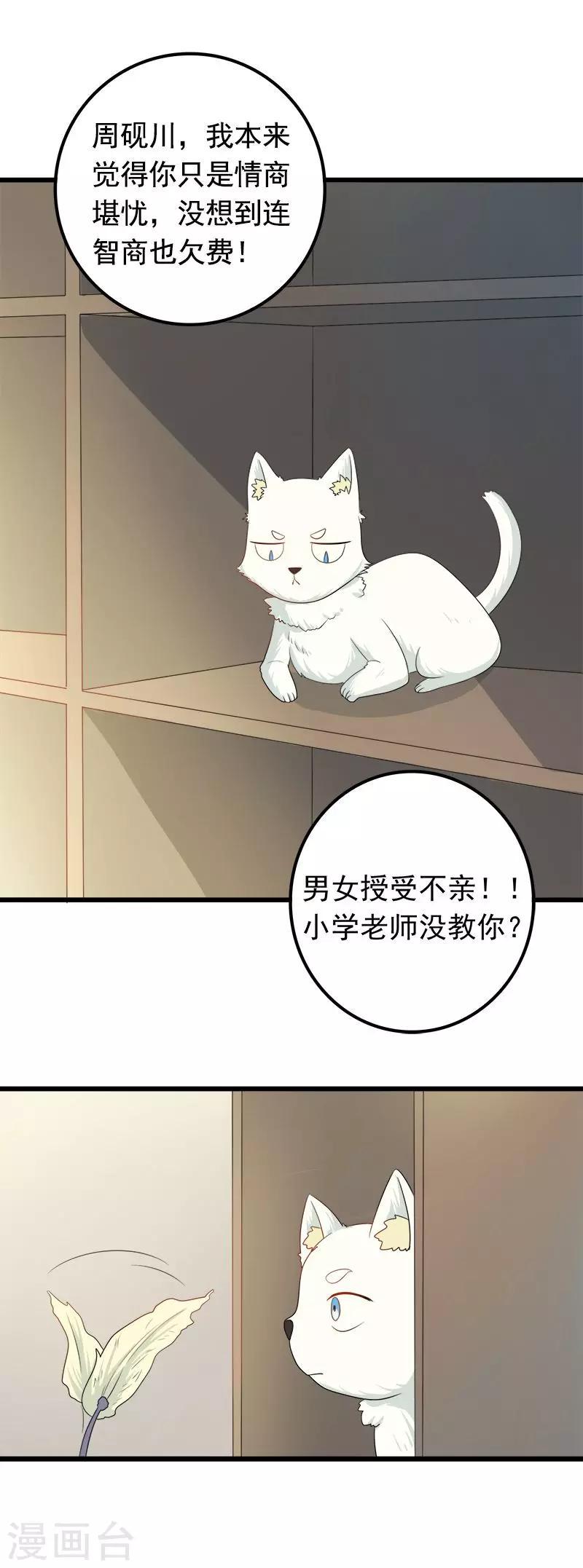 第8话 猫饼与铲屎官2