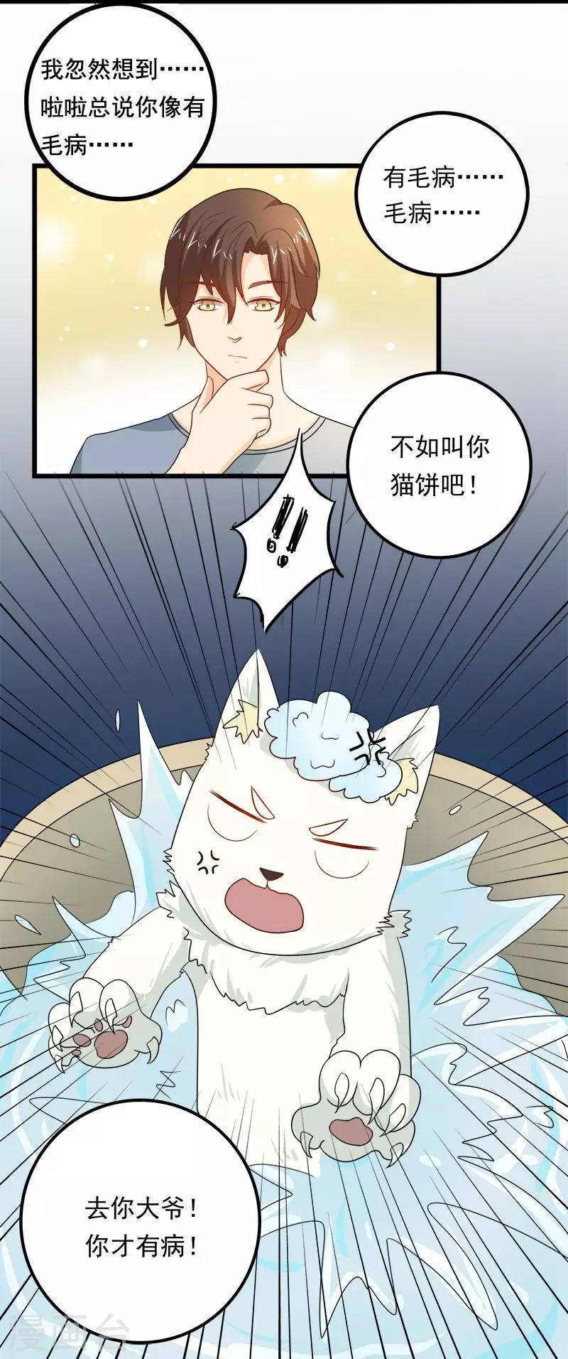 第8话 猫饼与铲屎官6