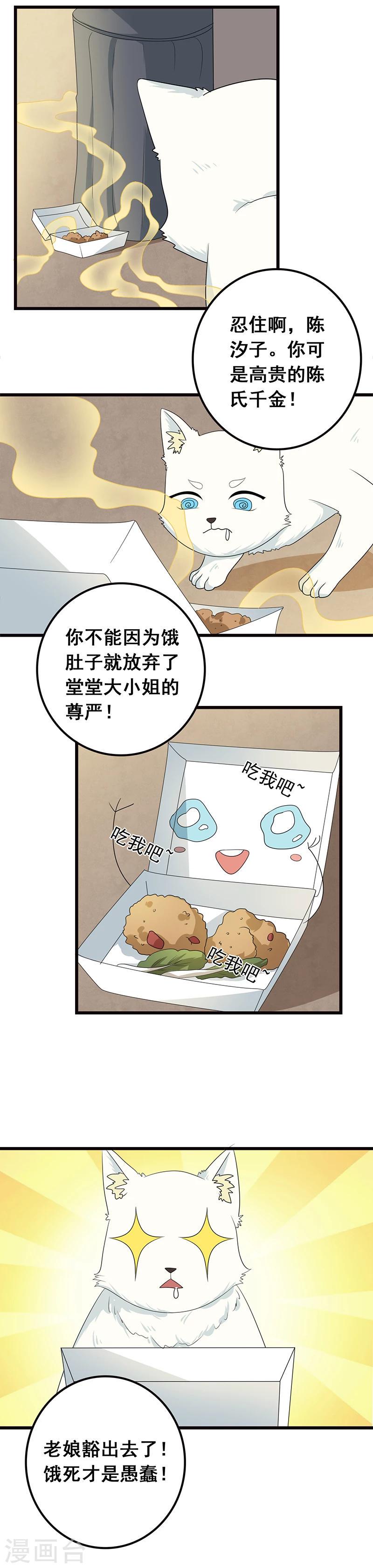 第7话 猫粮？真香2