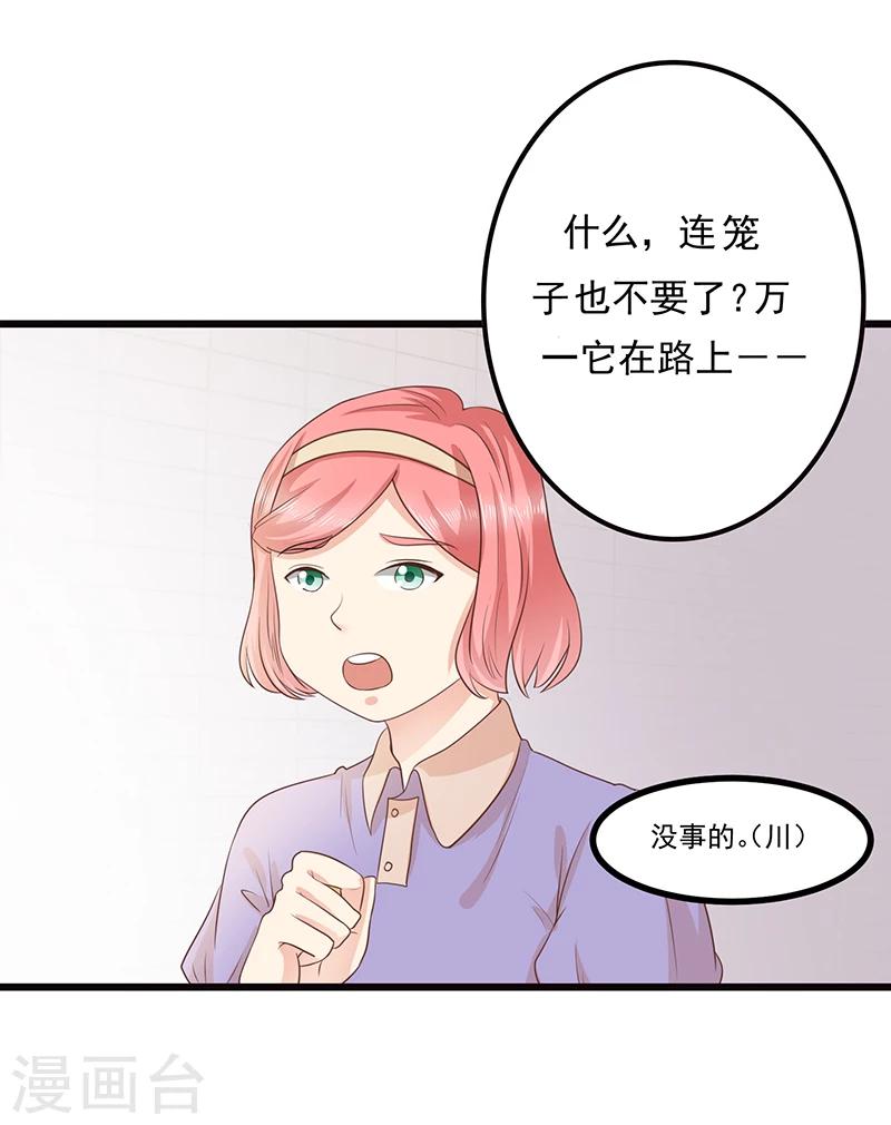 第3话 放开这只小猫咪9