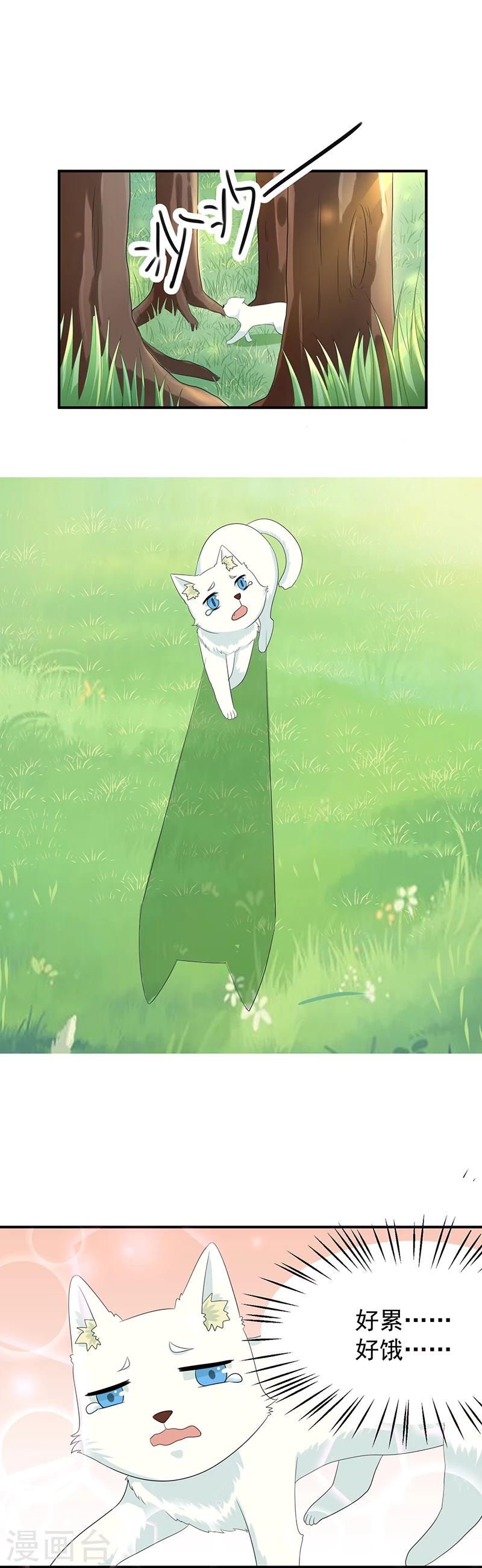 第14话 你相信谁？11