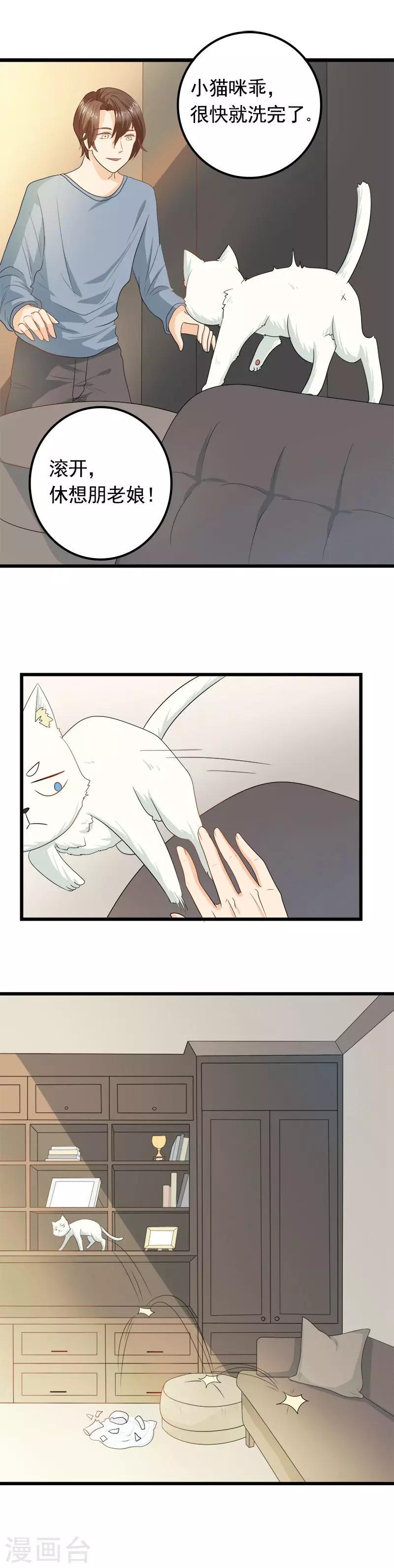 第8话 猫饼与铲屎官1