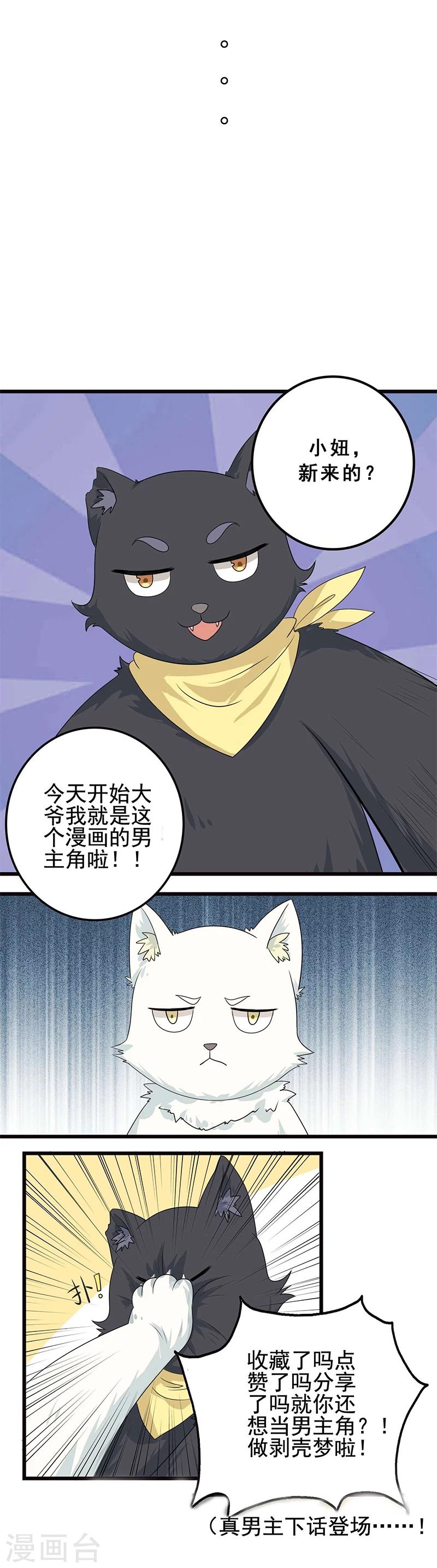 第5话 做一只猫好累9