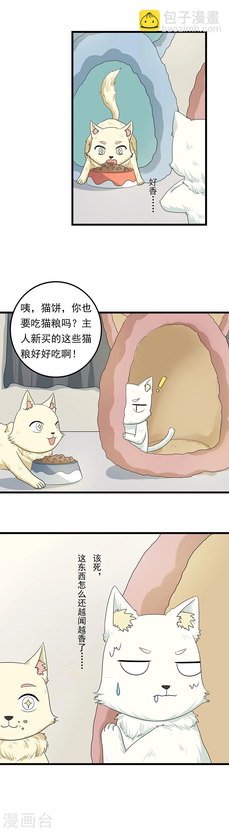 第10话 老大，收下我吧4