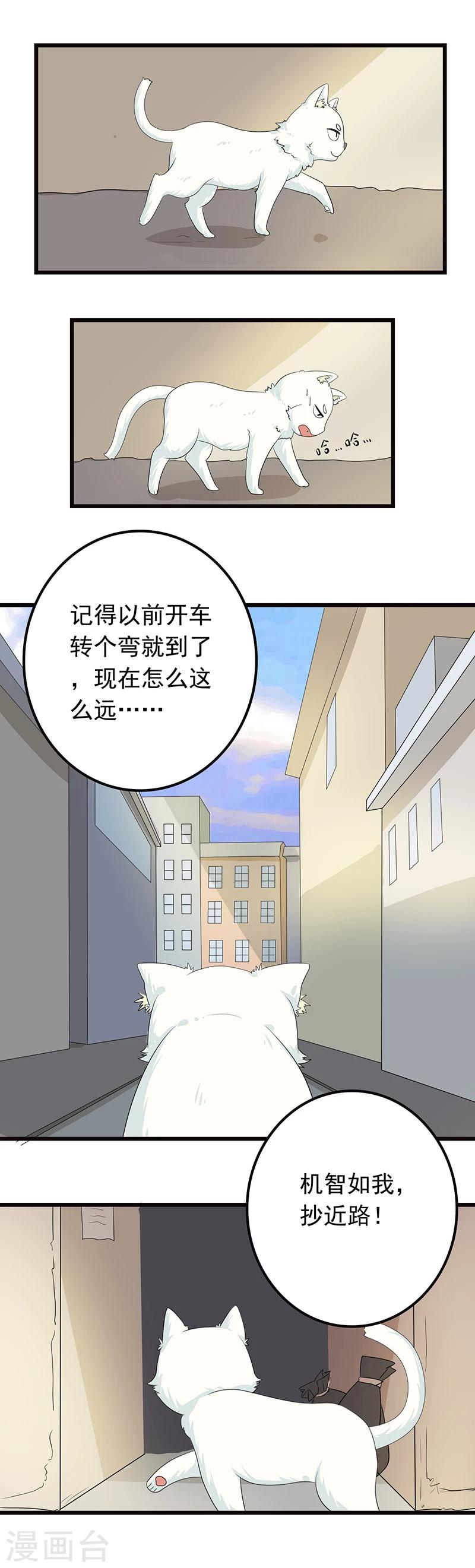 第5话 做一只猫好累3