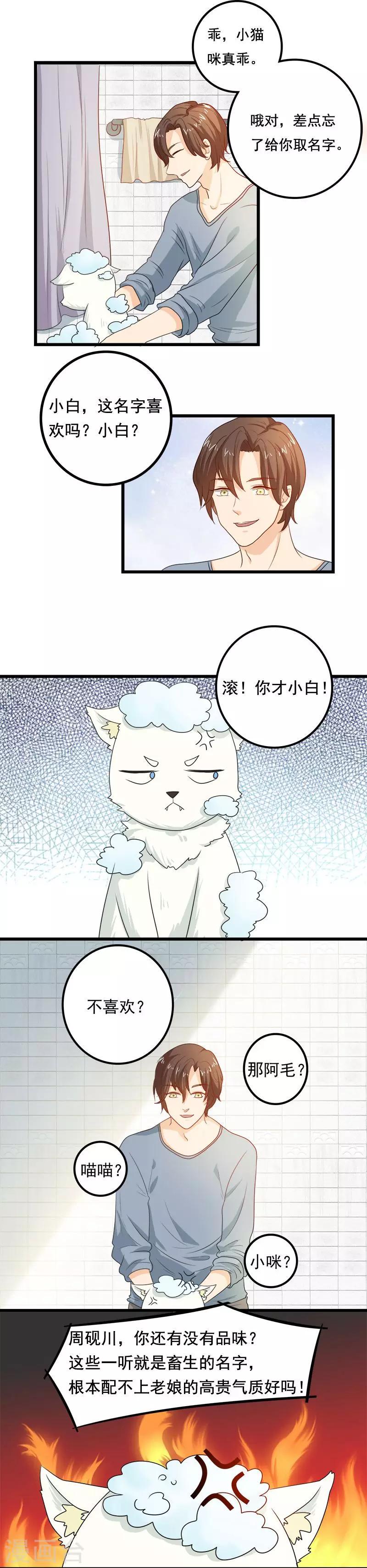第8话 猫饼与铲屎官5