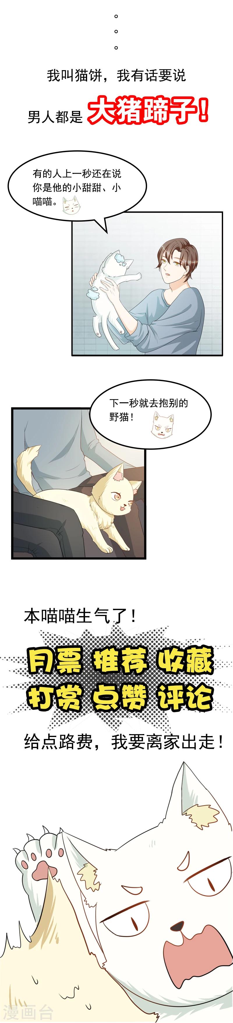 第9话 带走你的神经猫12