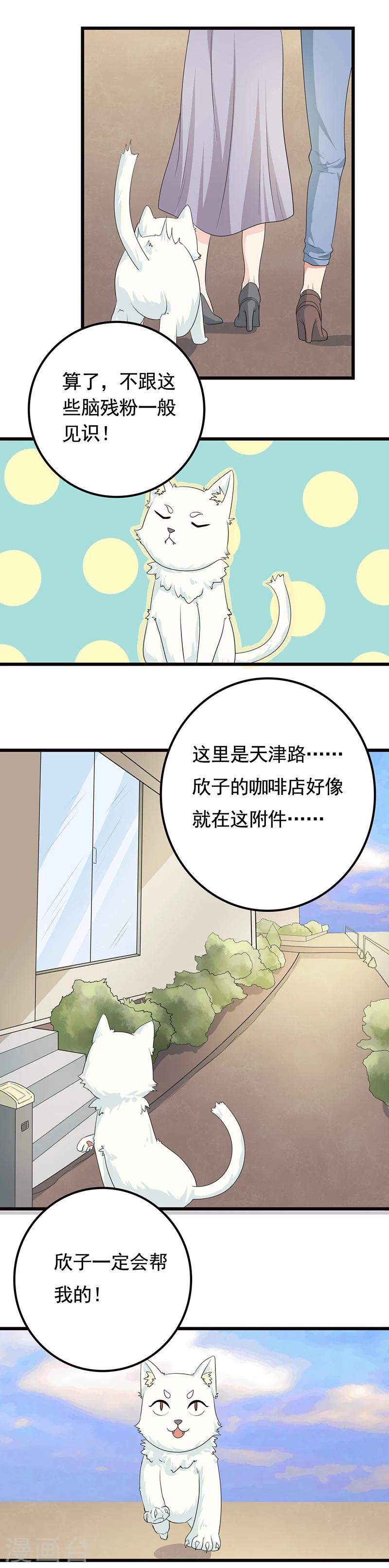 第5话 做一只猫好累2