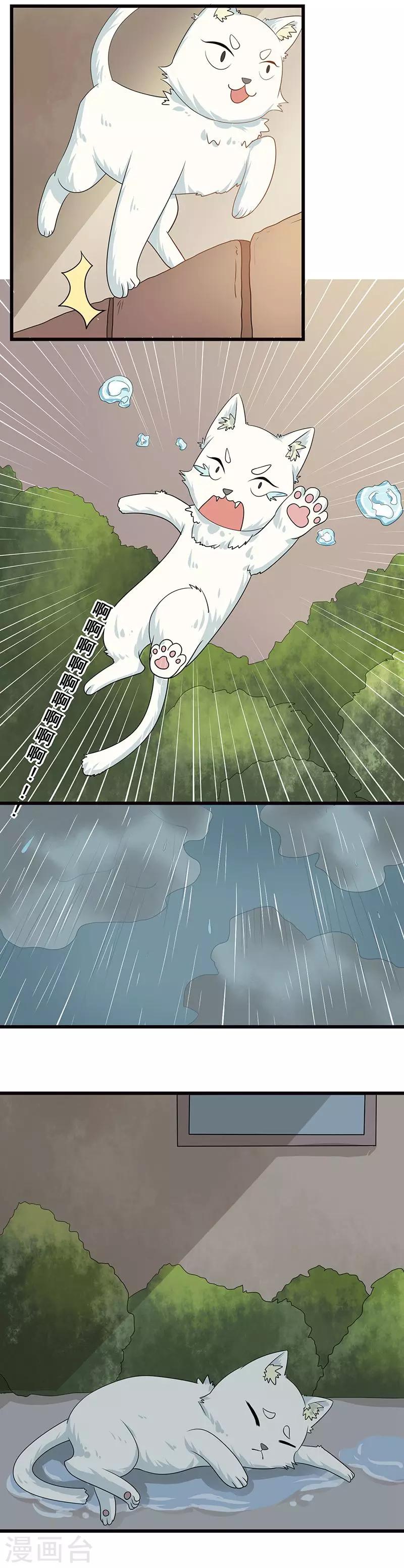 第5话 做一只猫好累8
