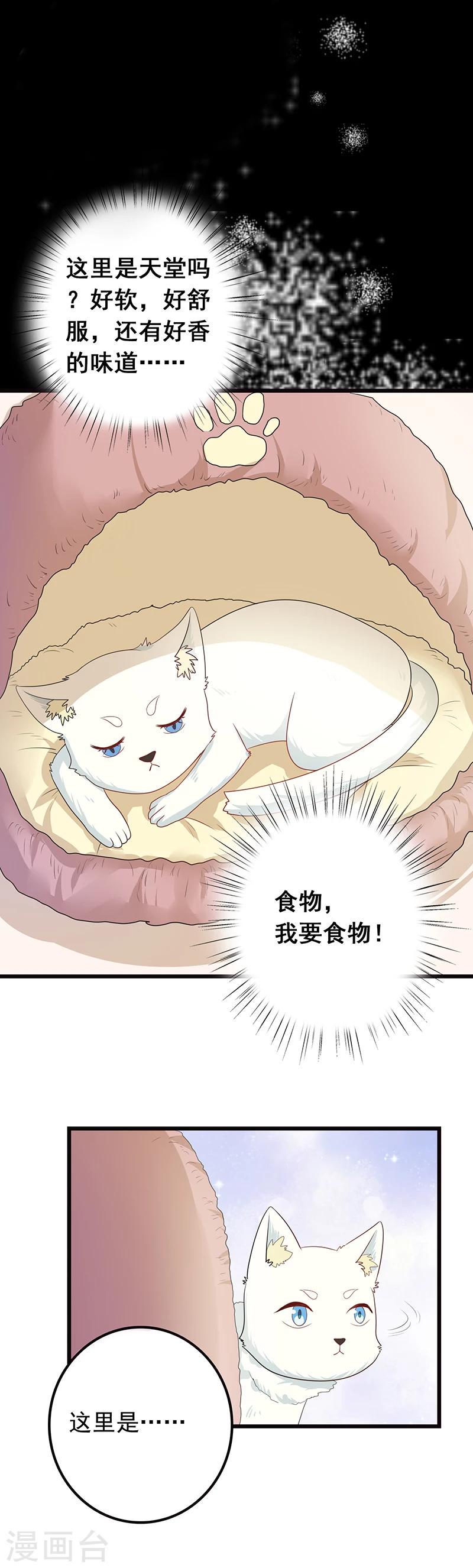 第7话 猫粮？真香6