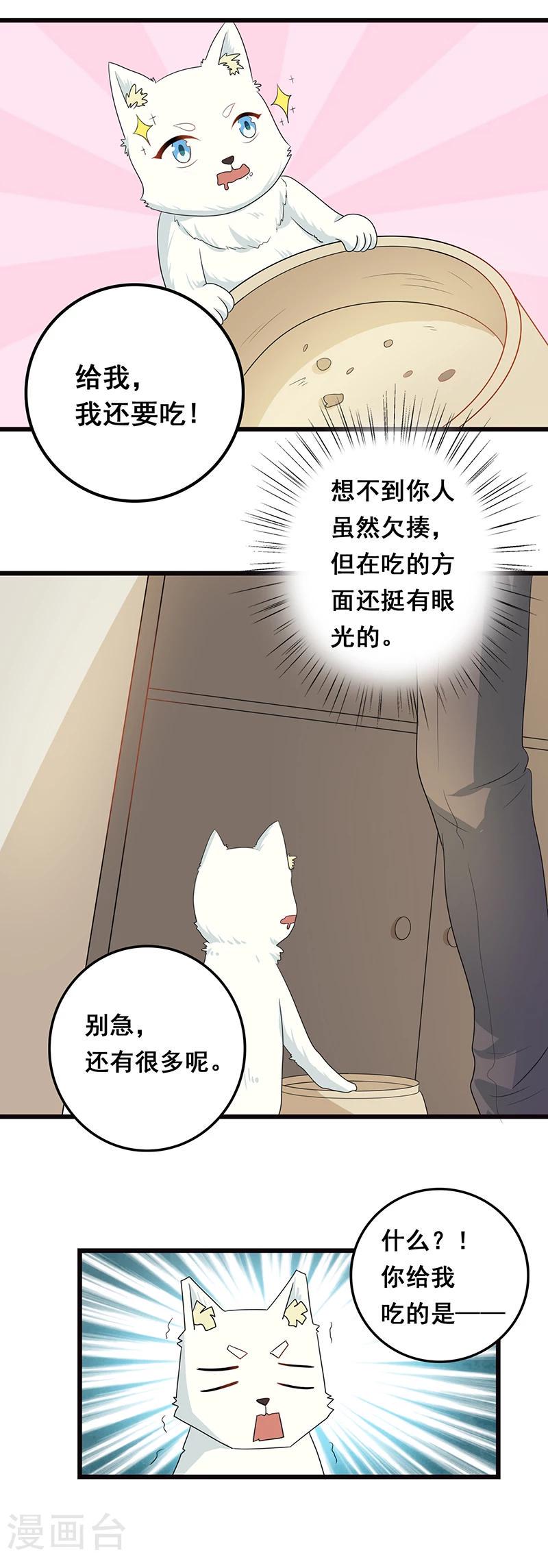 第7话 猫粮？真香8