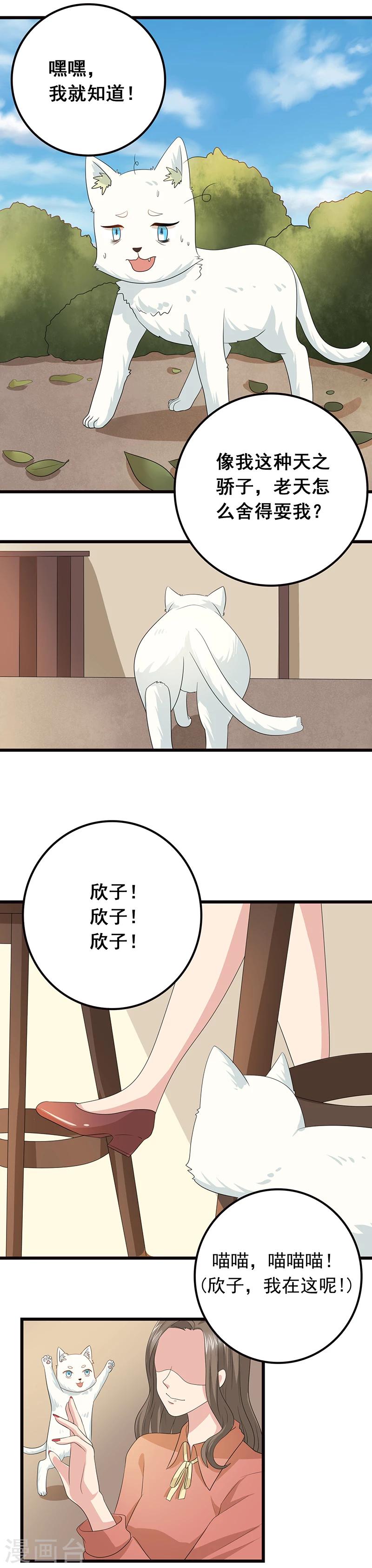 第6话 塑料姐妹情3