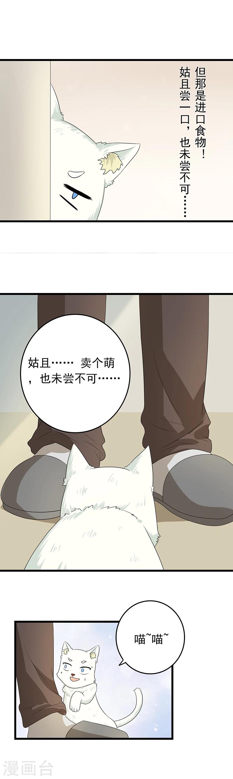 第10话 老大，收下我吧9