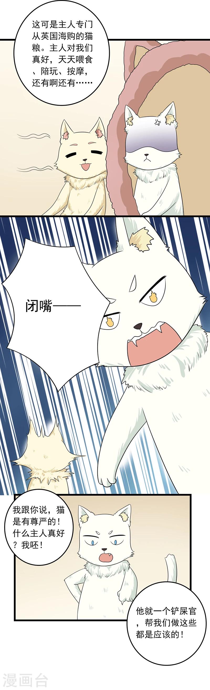 第10话 老大，收下我吧5