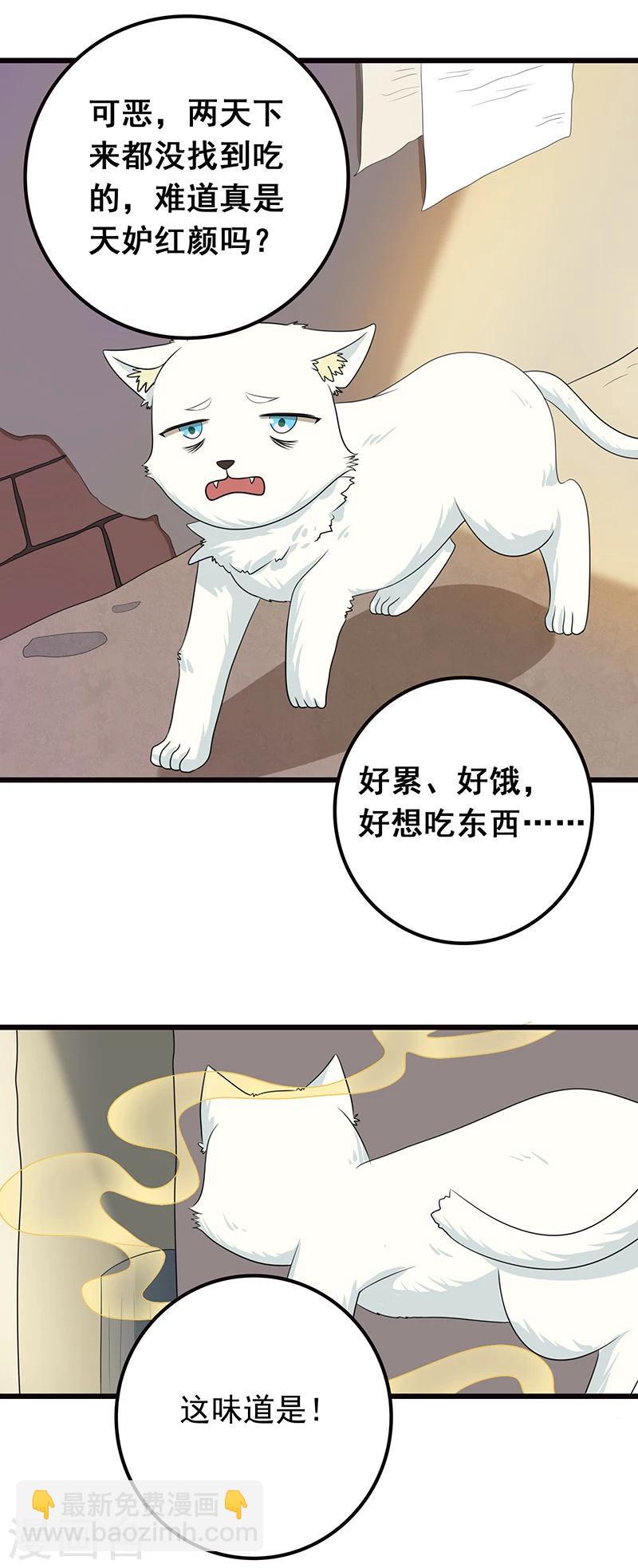 第7话 猫粮？真香1
