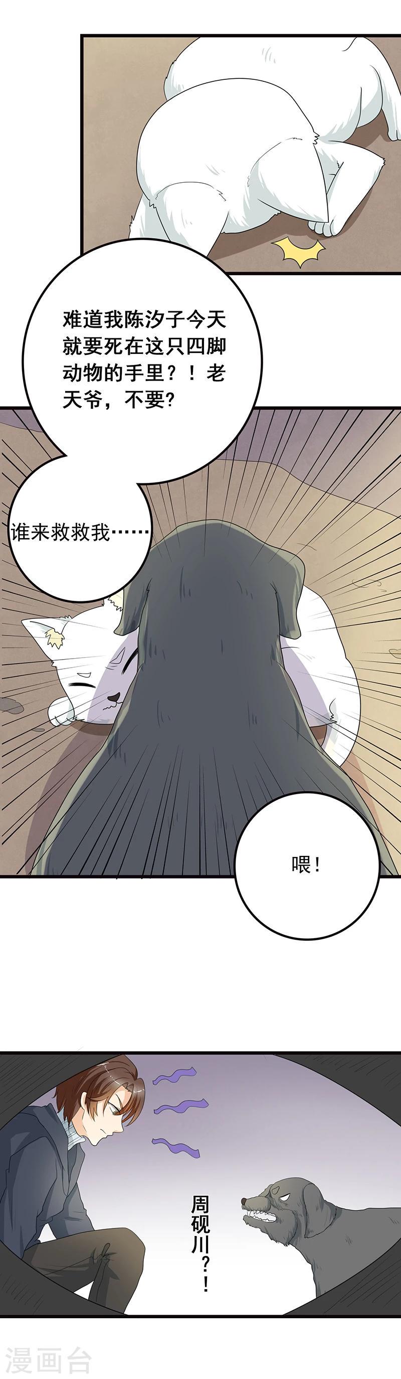 第7话 猫粮？真香4