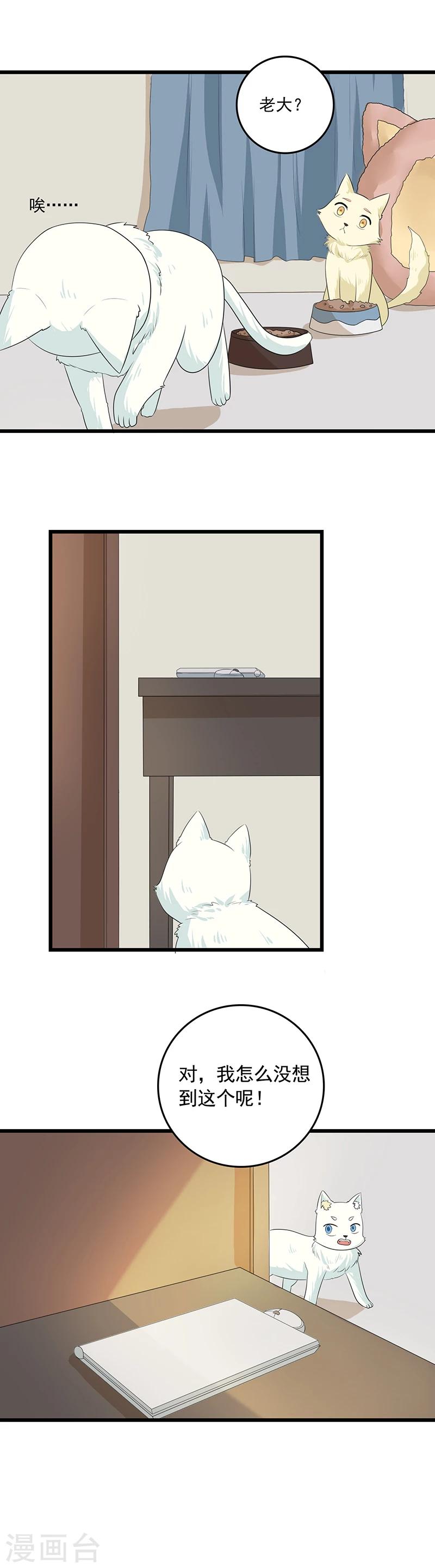 第11话 谁动了电脑？2
