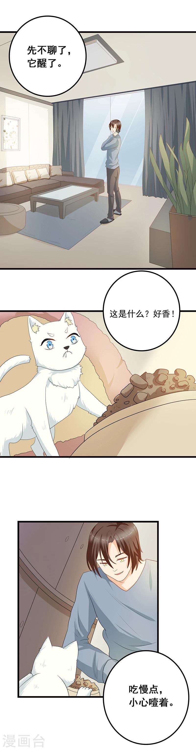 第7话 猫粮？真香7