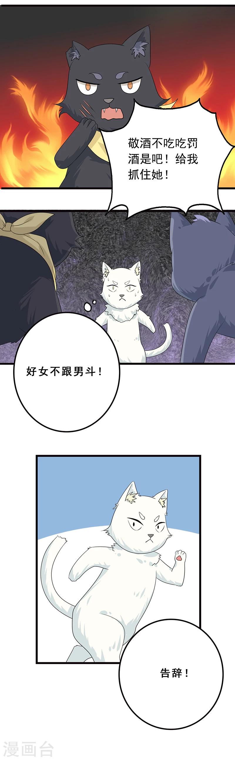 第5话 做一只猫好累6