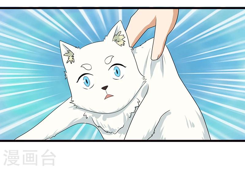 第6话 塑料姐妹情7
