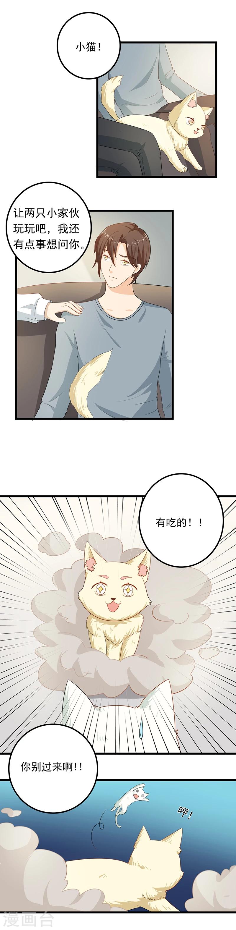 第9话 带走你的神经猫5