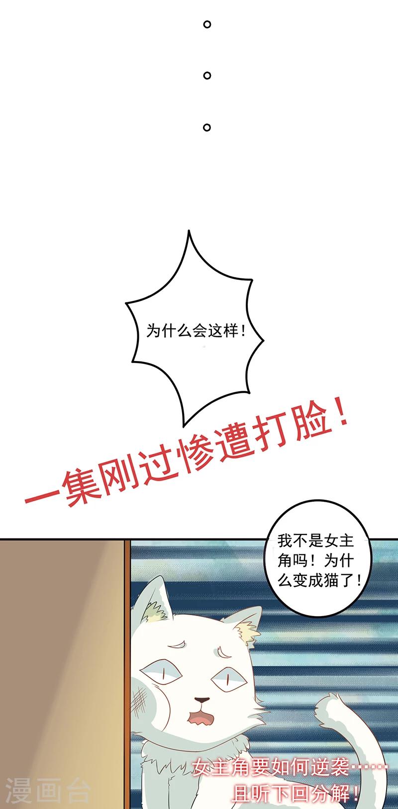 第3话 放开这只小猫咪12