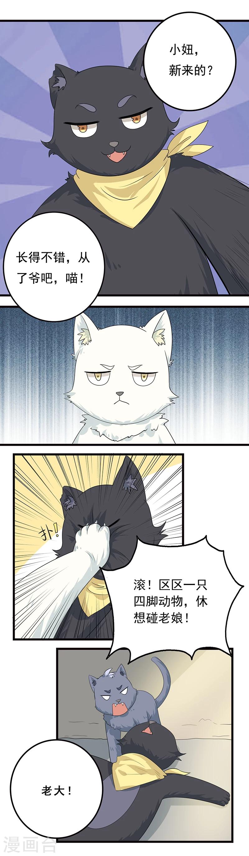 第5话 做一只猫好累5