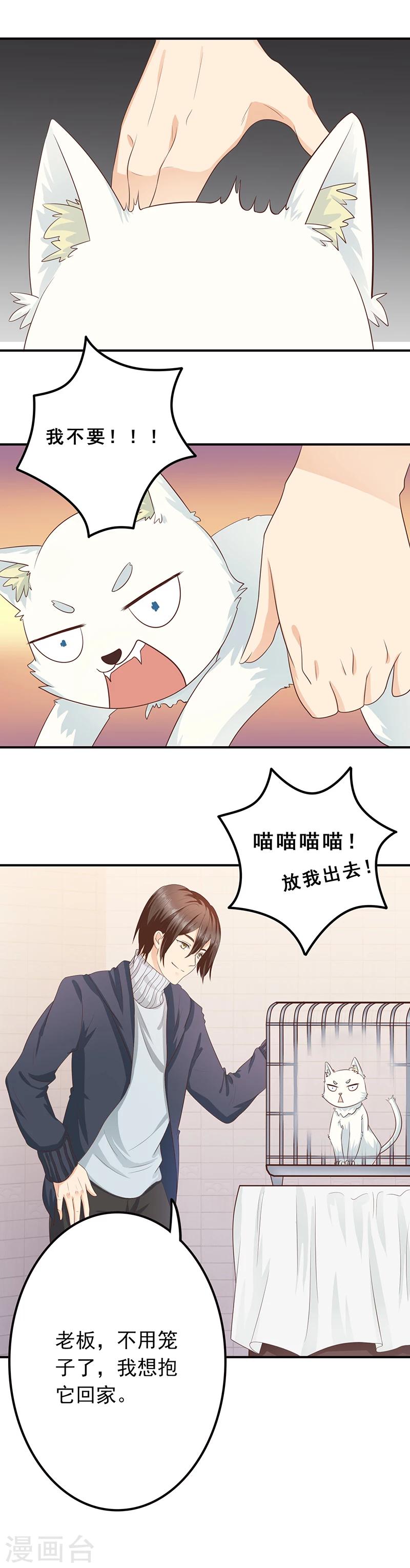 第3话 放开这只小猫咪8