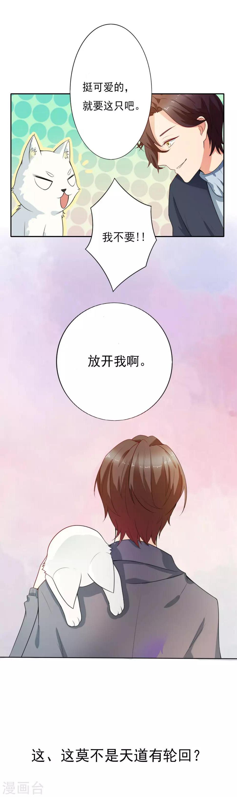 预告5