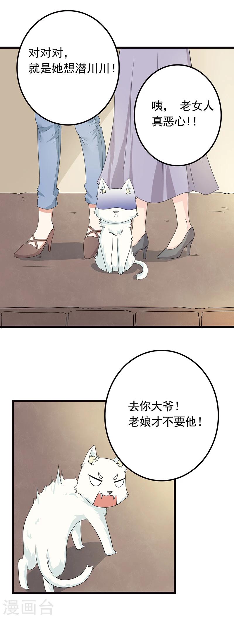 第5话 做一只猫好累1