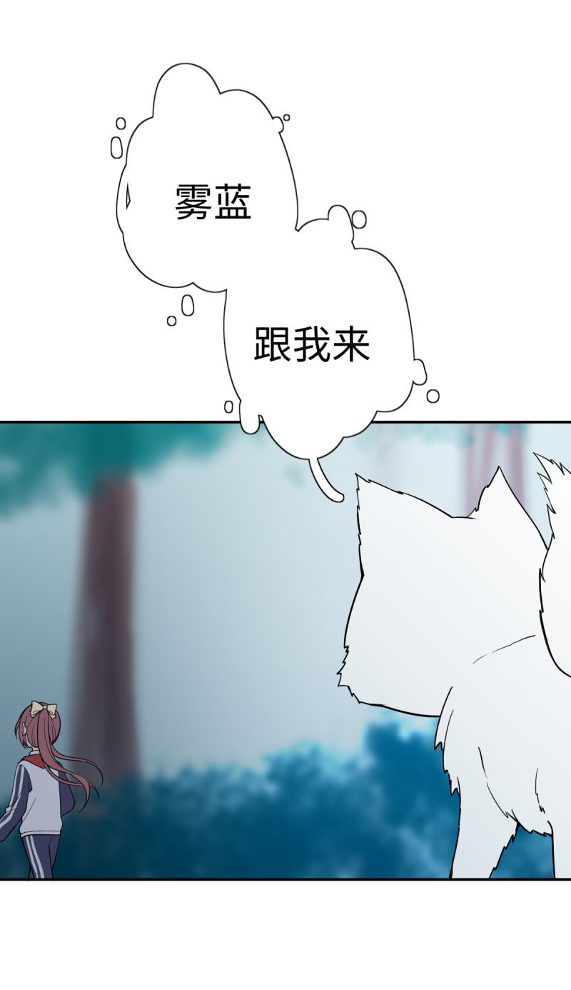 再遇小狐狸3