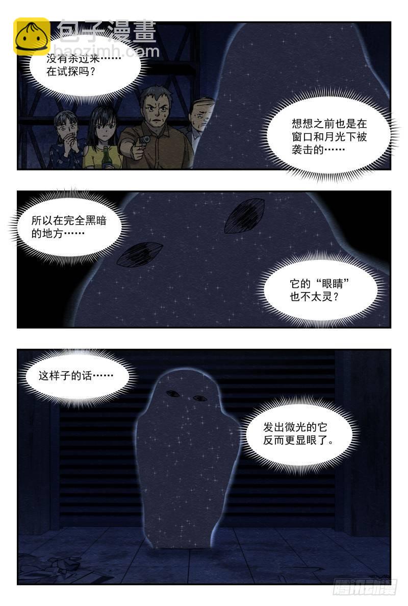 薄片10